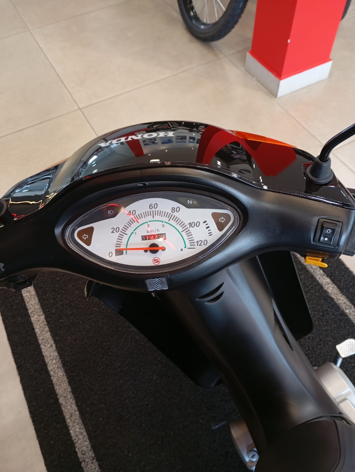 bizc100